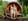 Casa nella natura a Bellingwolde