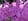 - image: 11