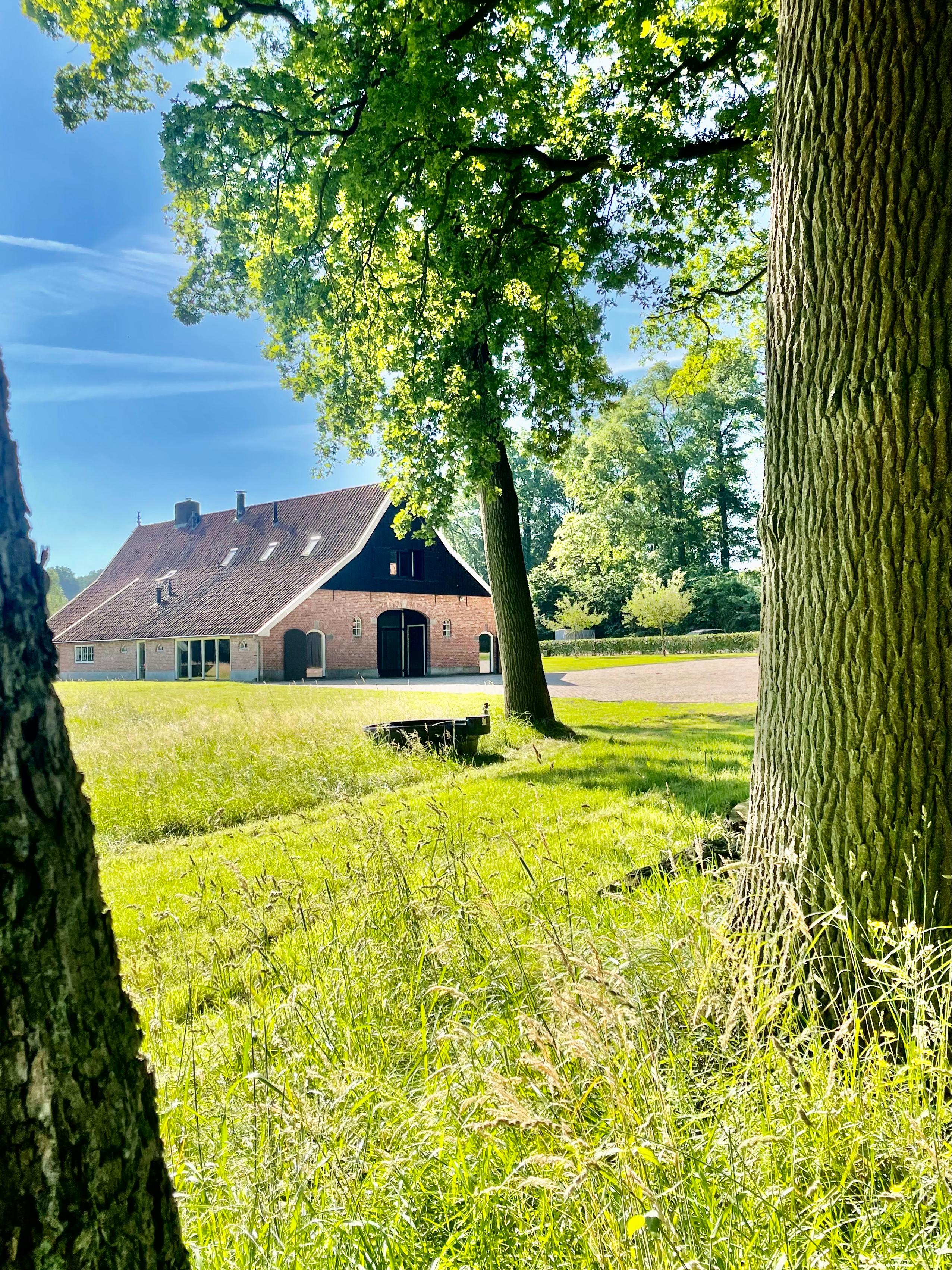 Maison nature à de Lutte