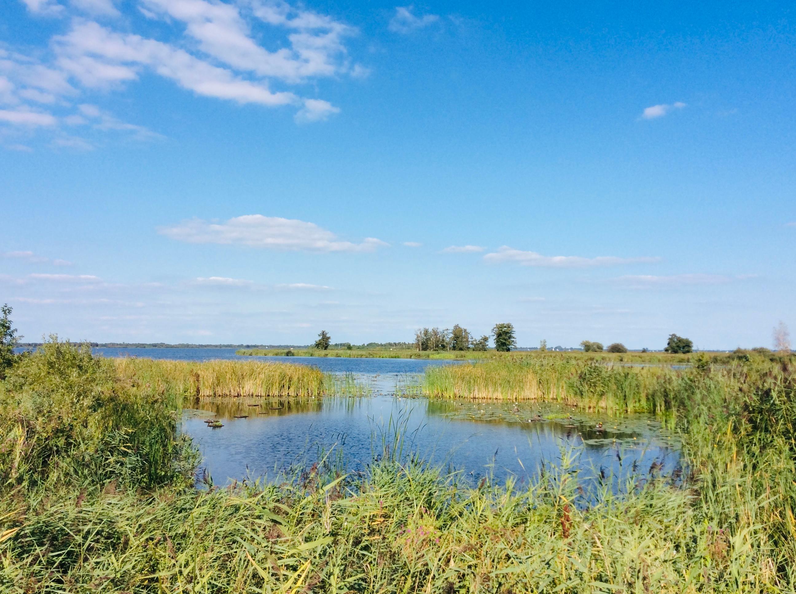Nature house in Sint Jansklooster