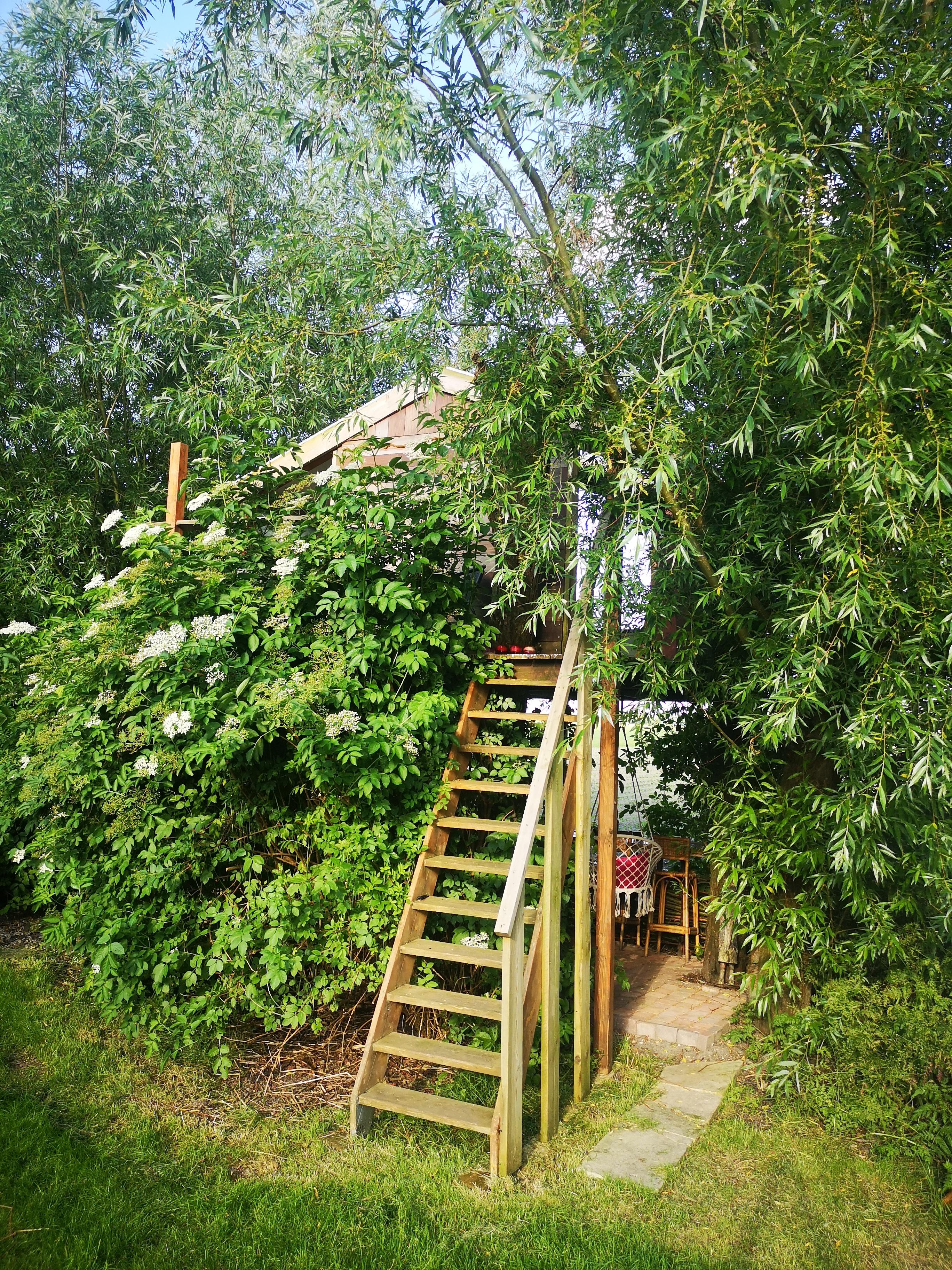 Maison nature à West Beemster