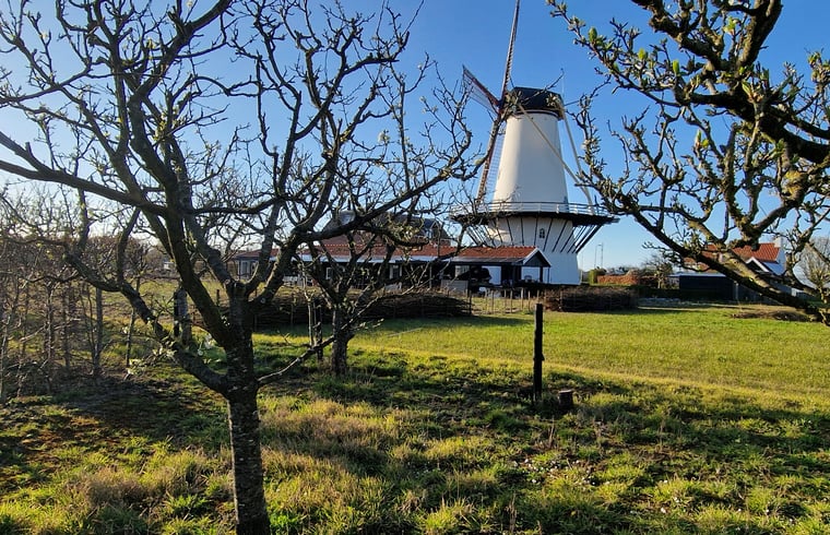 Natuurhuisje in Koudekerke