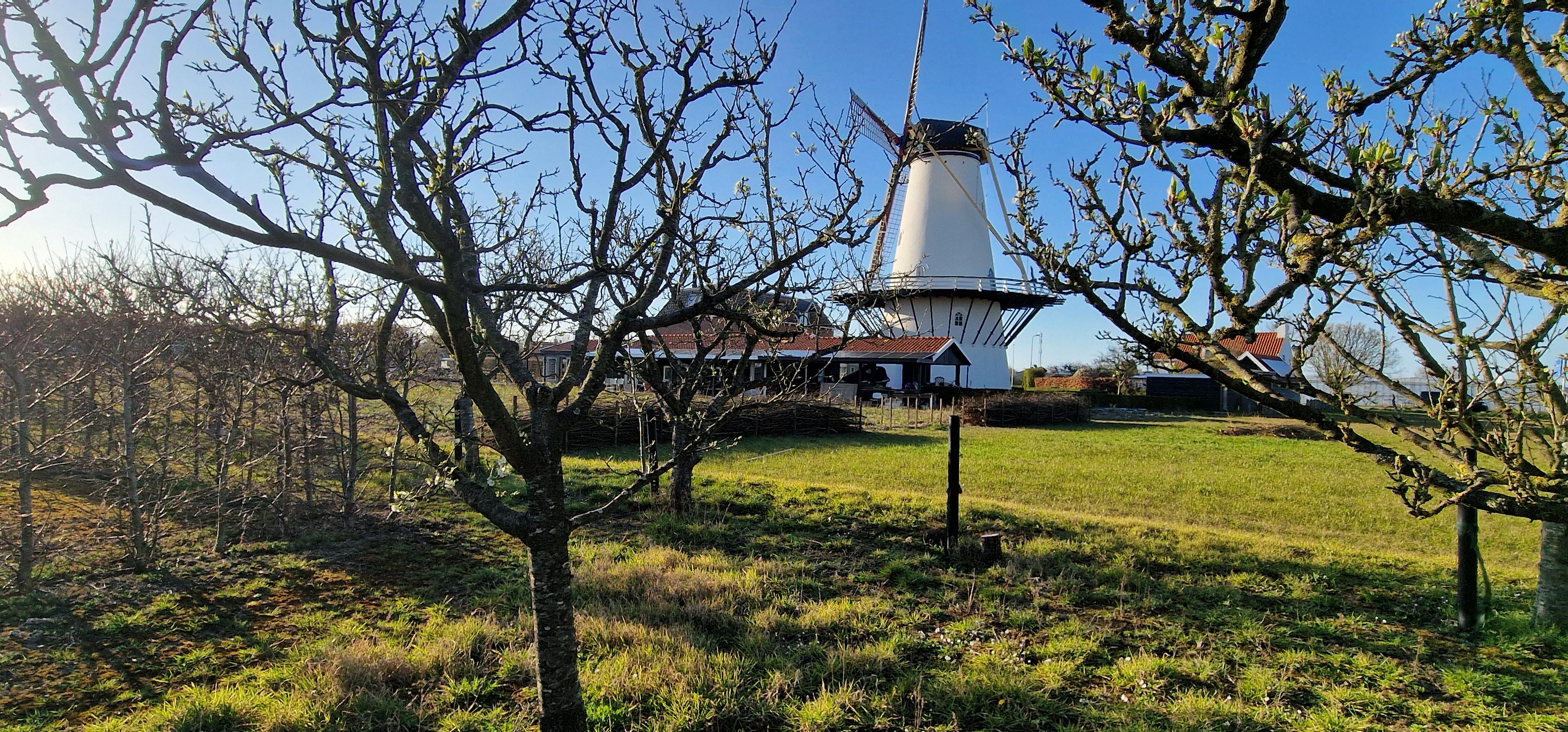 Natuurhuisje in Koudekerke