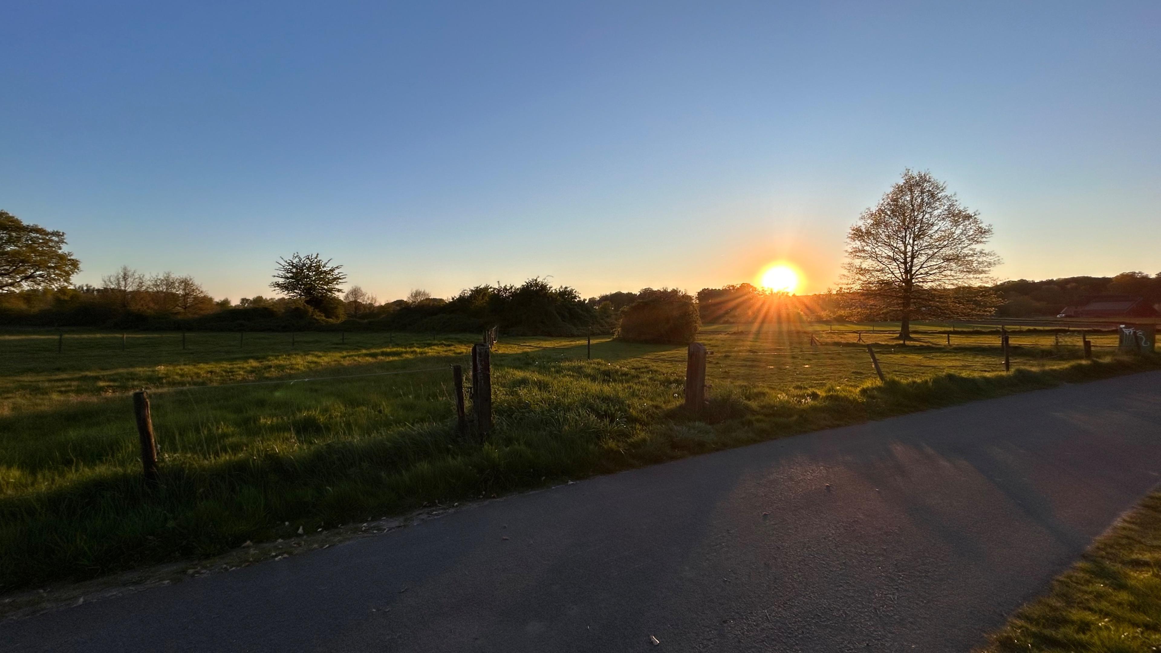 Natuurhuisje in Rheden
