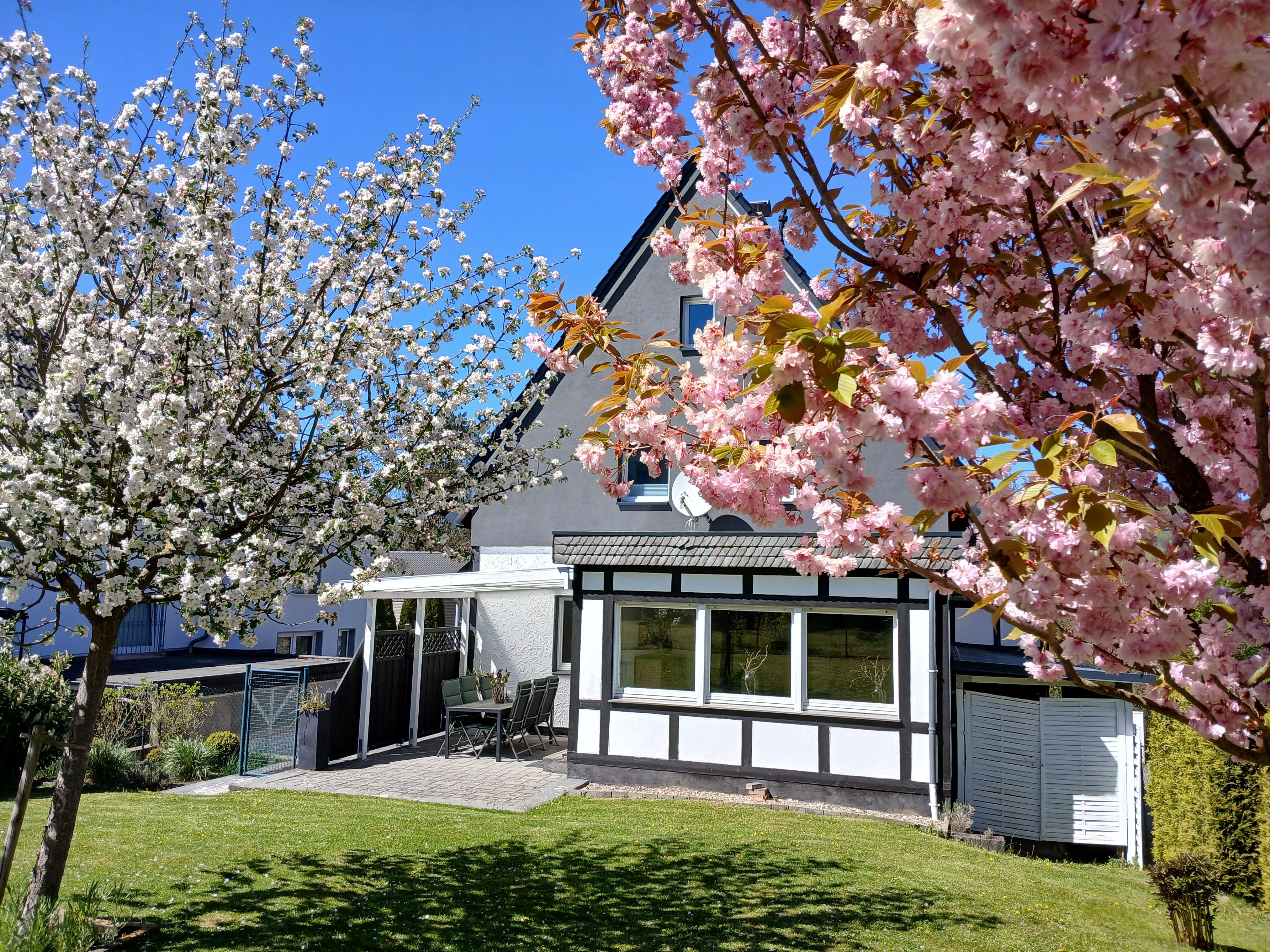 Nature house in Olsberg