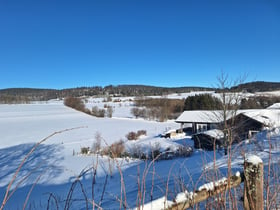 Natuurhuisje in Küstelberg nabij Winterberg