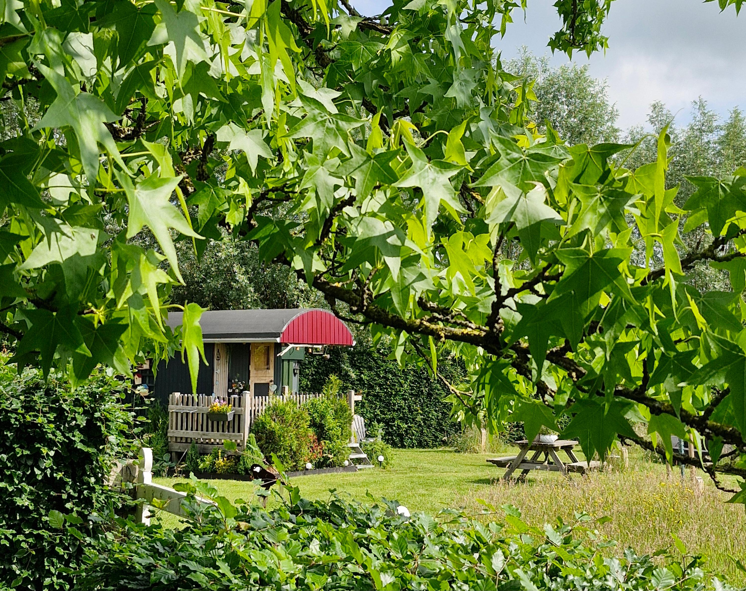 Nature house in De Heurne