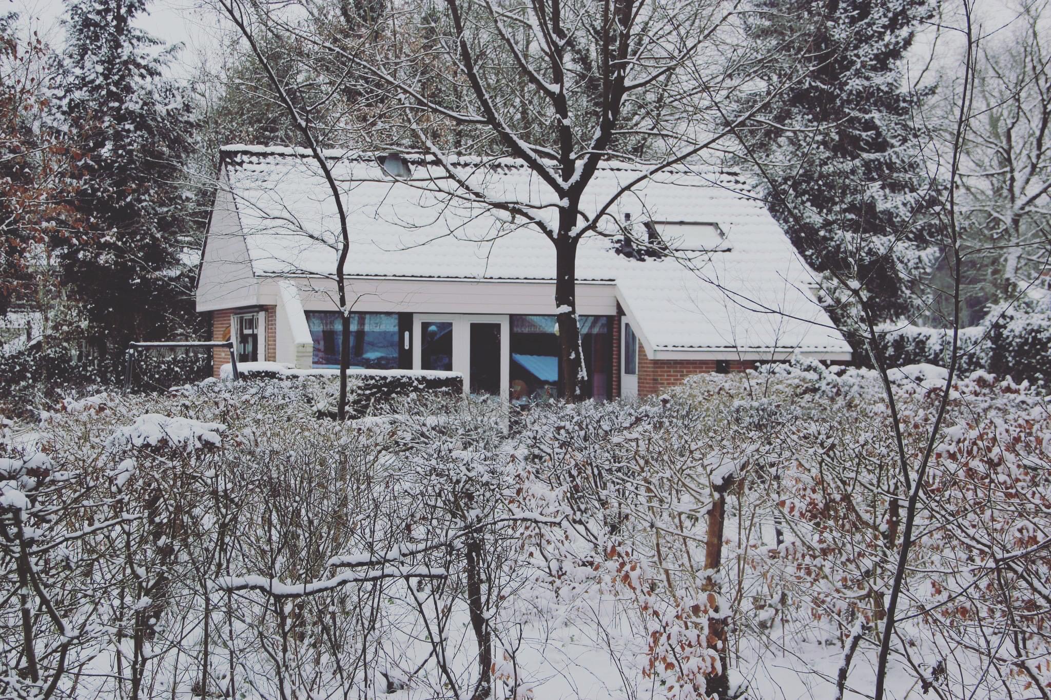 Nature house in Appelscha