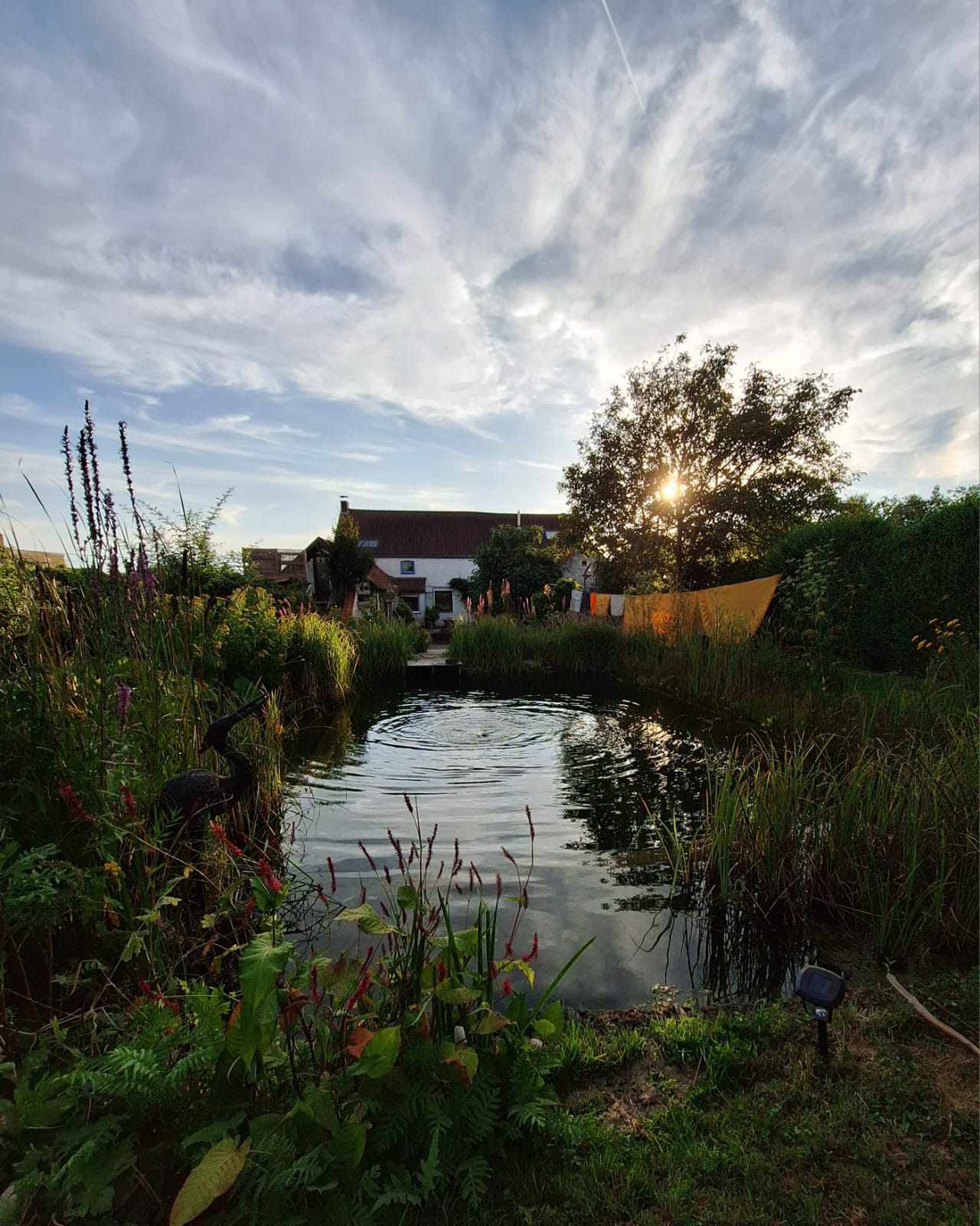 Maison nature à Zwalm