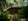 Nature house in Bergentheim