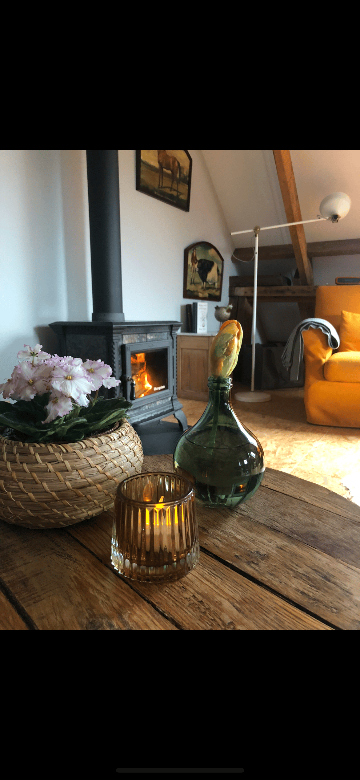 Maison nature à Ommen