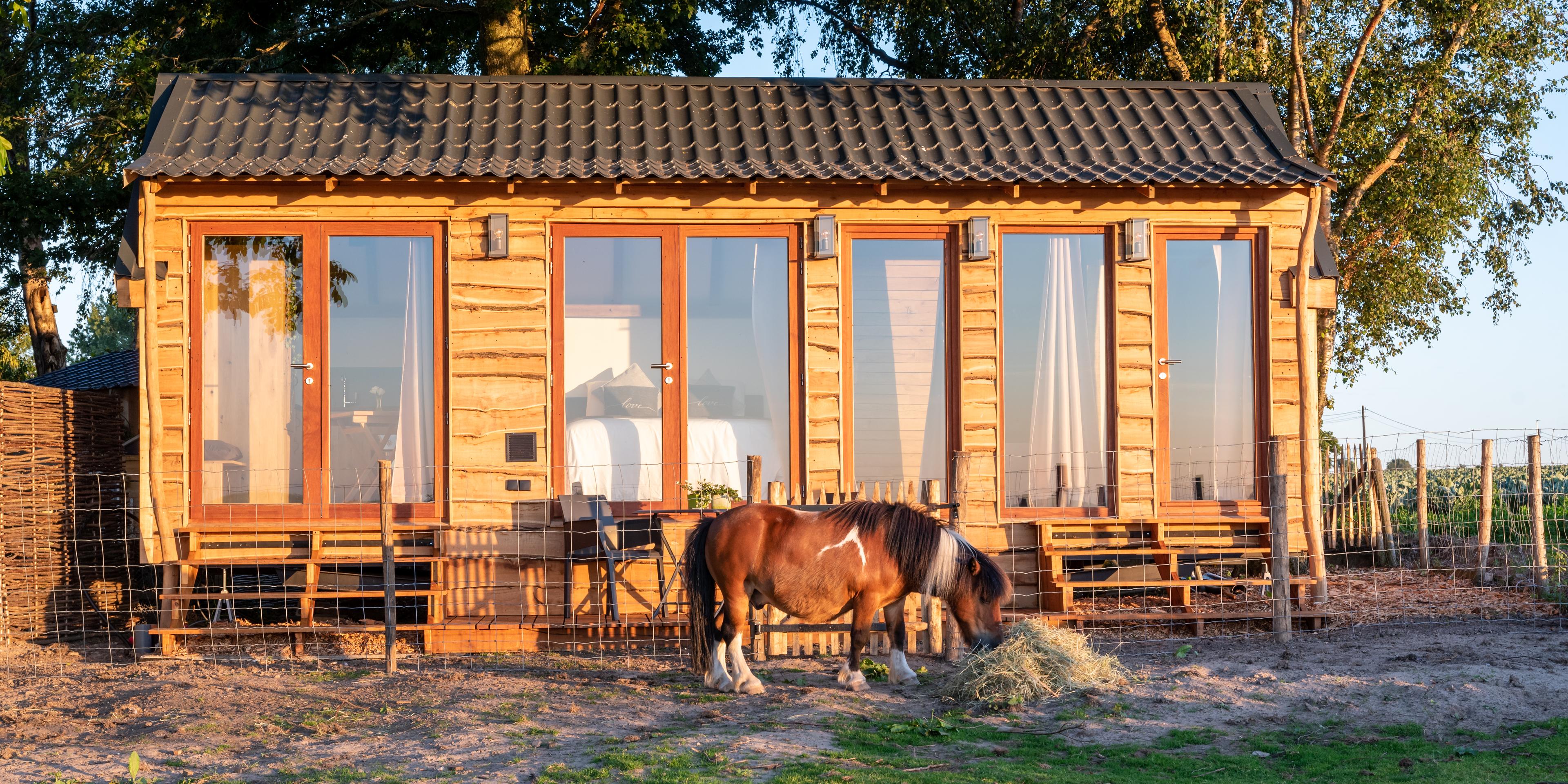 Nature house in Torhout