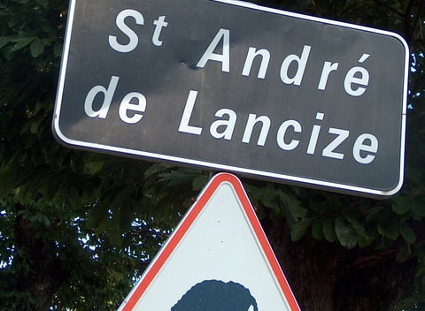 Natuurhuisje in Saint André de Lancize: 24