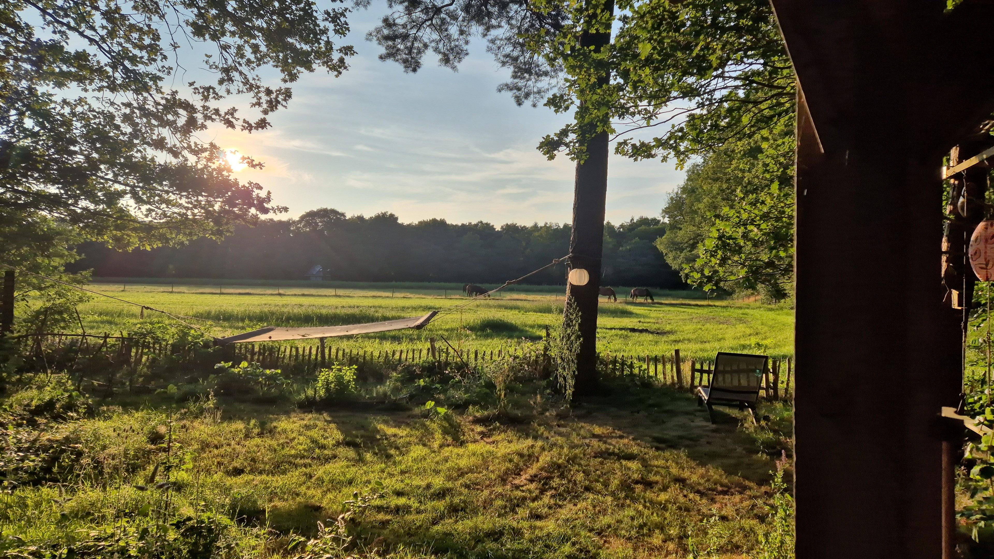 Natuurhuisje in Norg