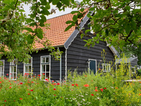 Naturhäuschen in Vrouwenpolder