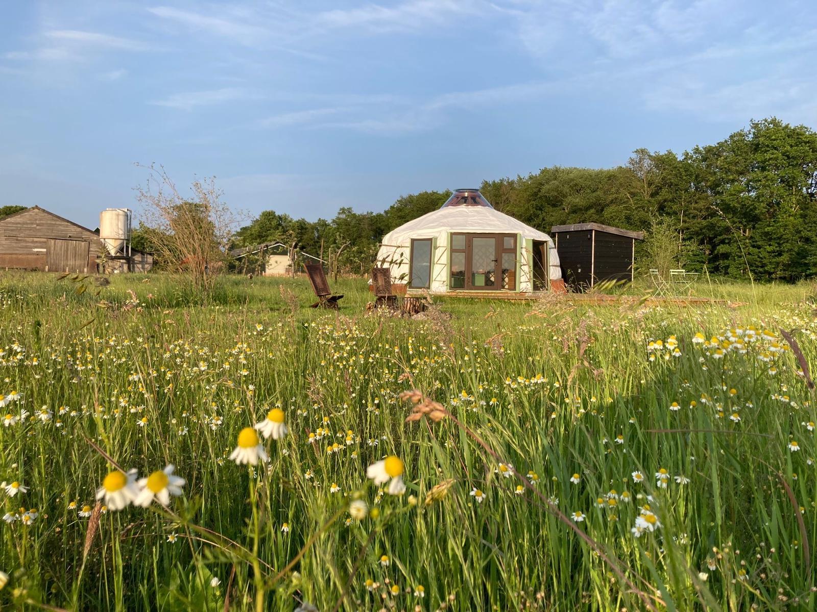 Natuurhuisje in Fochteloo