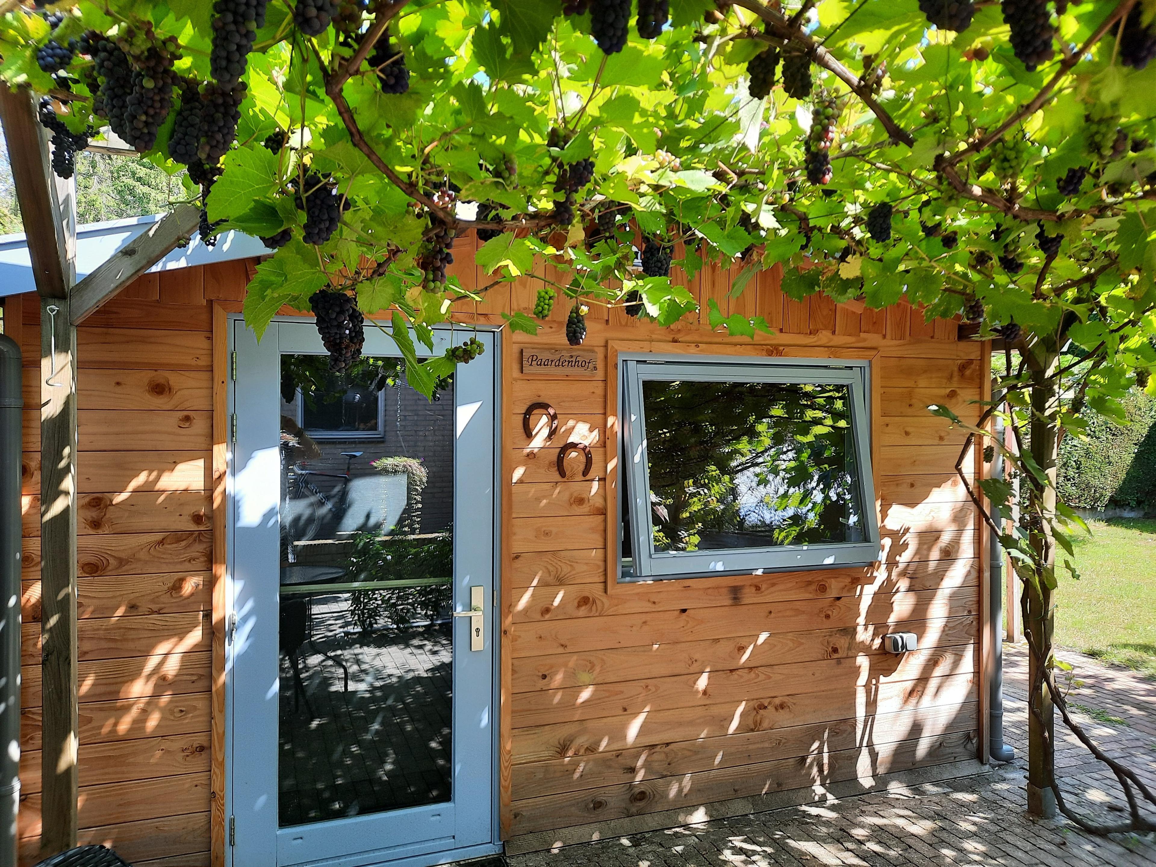 Maison nature à Wapenveld