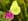 - image: 20