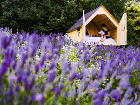 Natuurhuisje in Merana