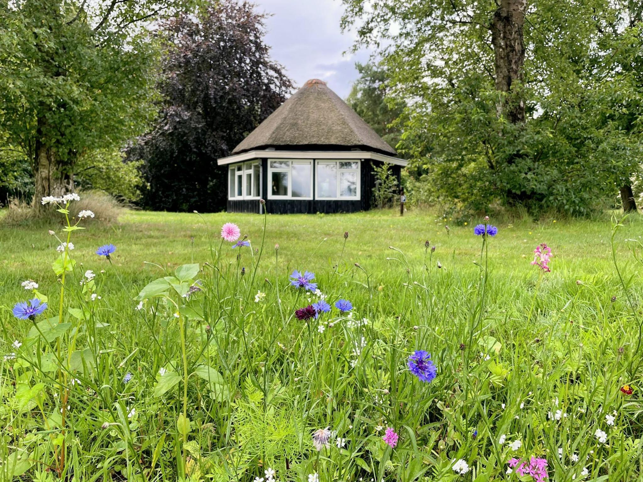 Casa nella natura a Valthe