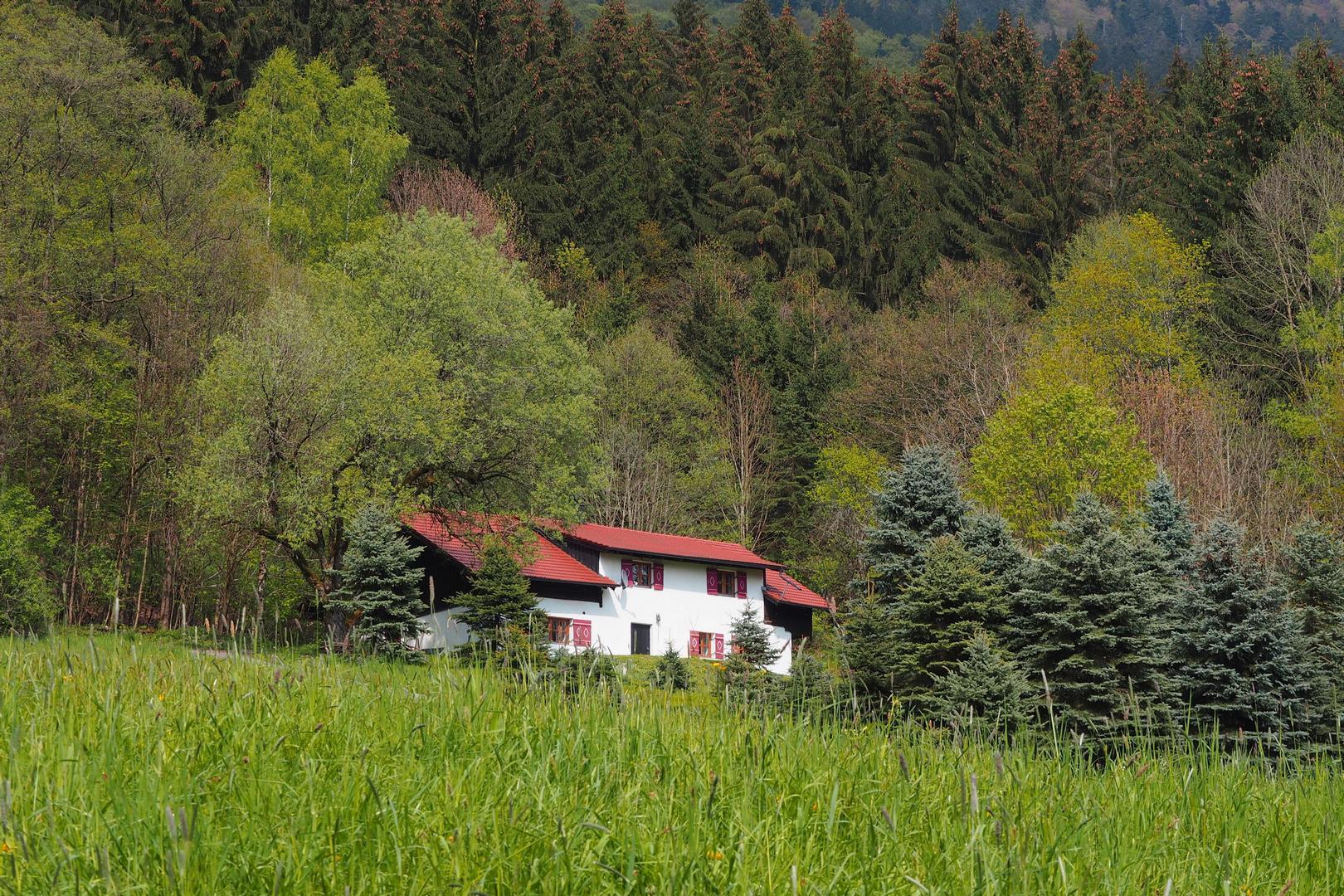 Maison nature à Bernried