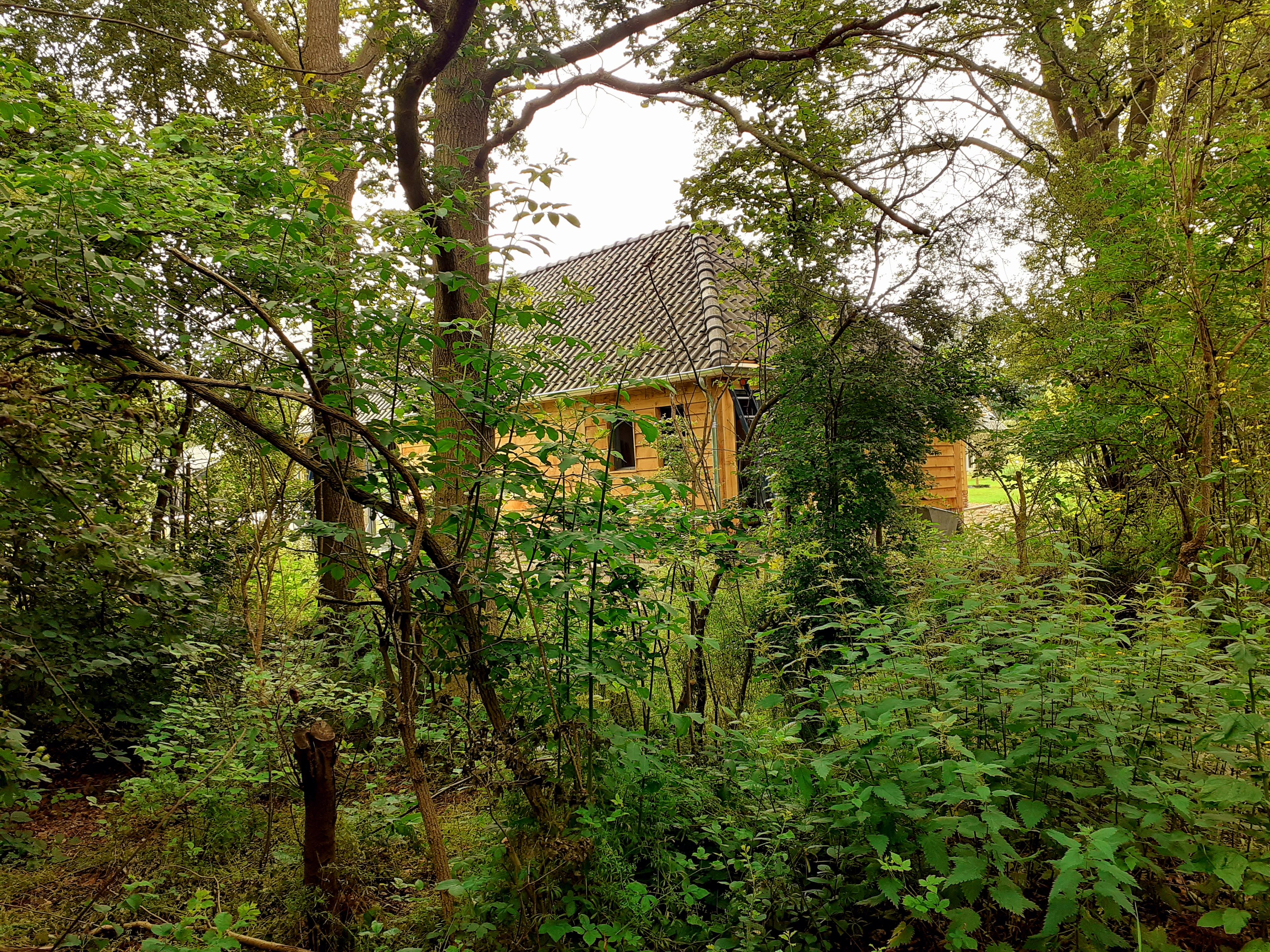 Nature house in 