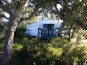 Nature house in São Luis