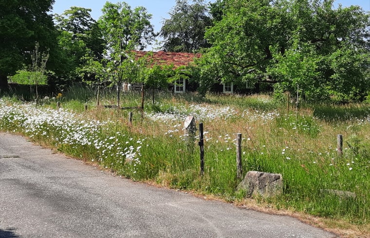 Natuurhuisje in Hall