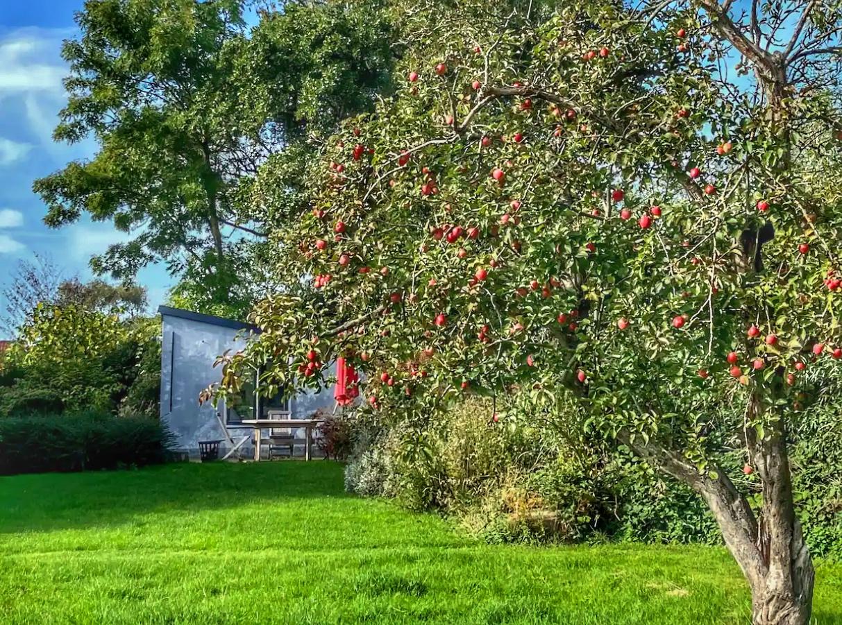 Casa nella natura a Oostkapelle
