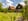 Nature house in Losser