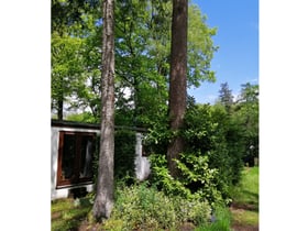 Maison nature à Gorssel