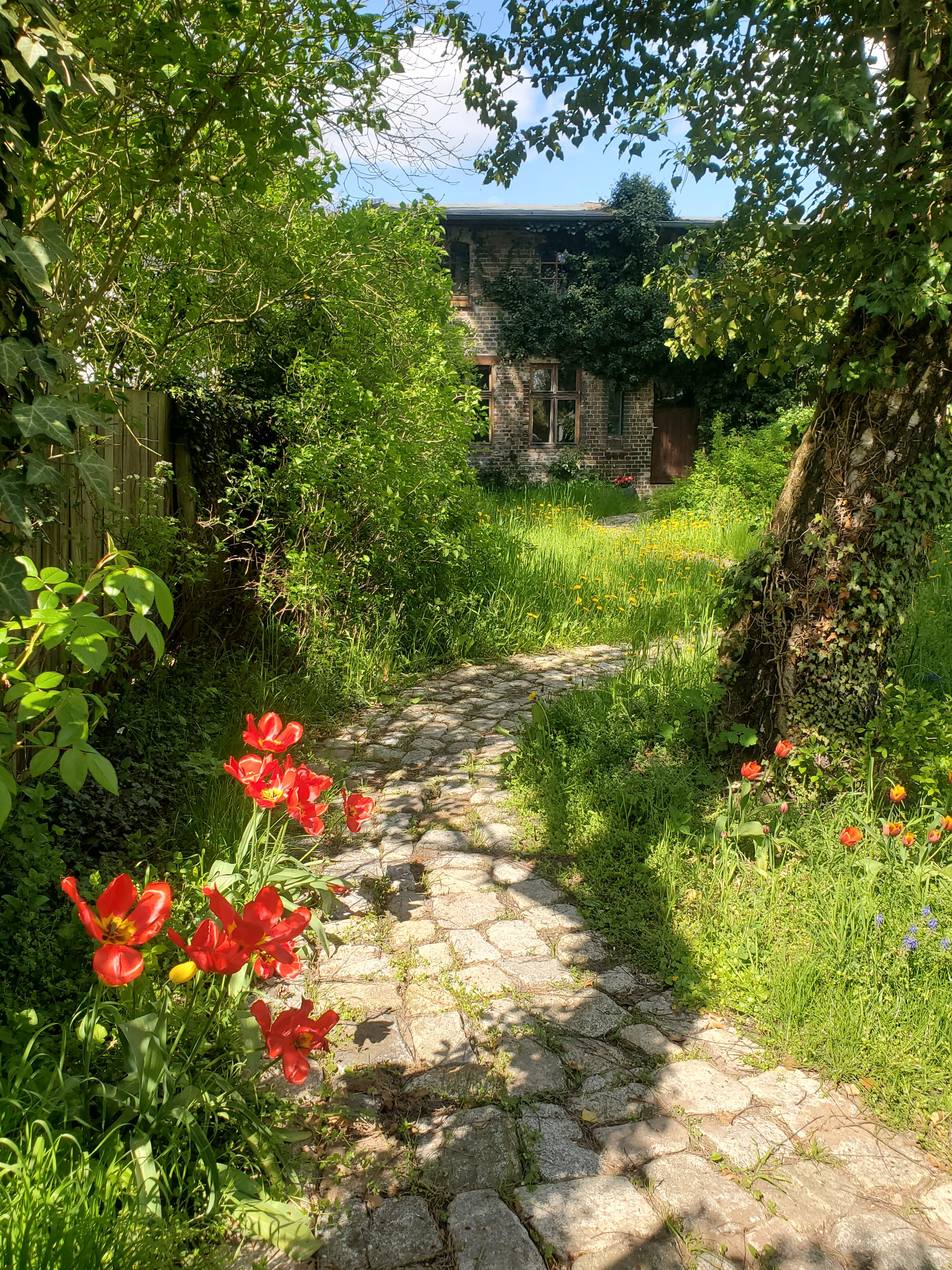 Nature house in Seelow