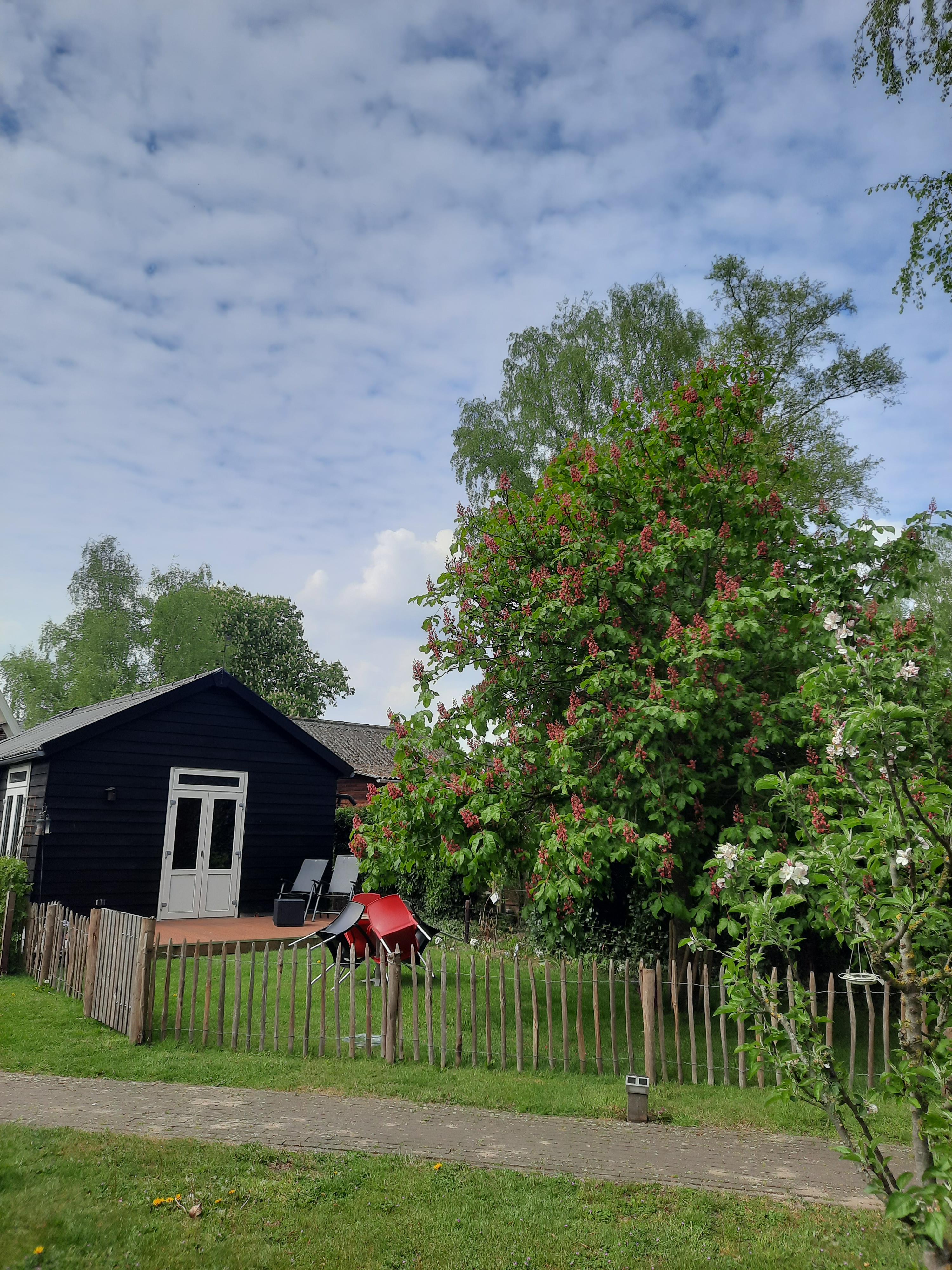 Maison nature à Epe