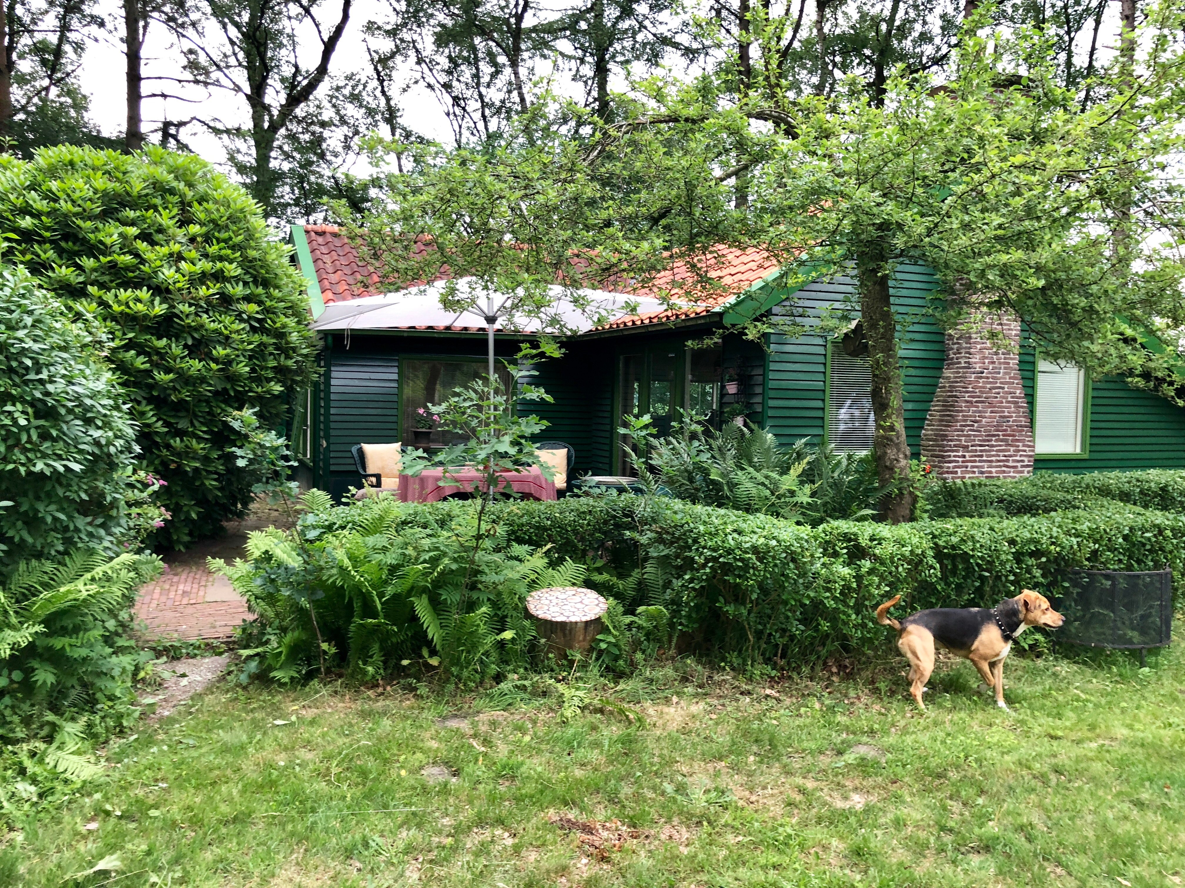 Natuurhuisje in Zeegse