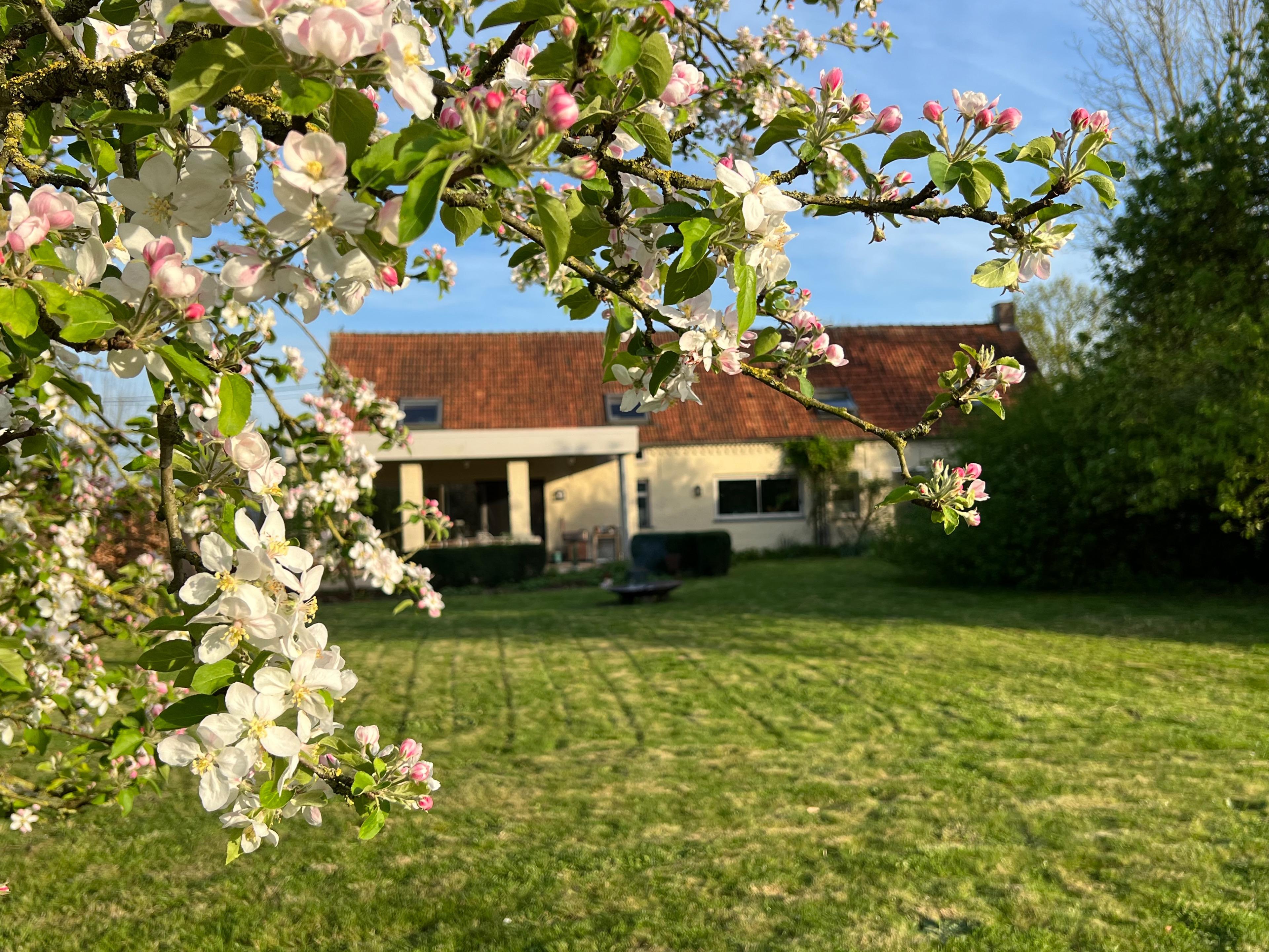 Nature house in Maarkedal