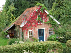 Maison nature dans Winterswijk Kotten