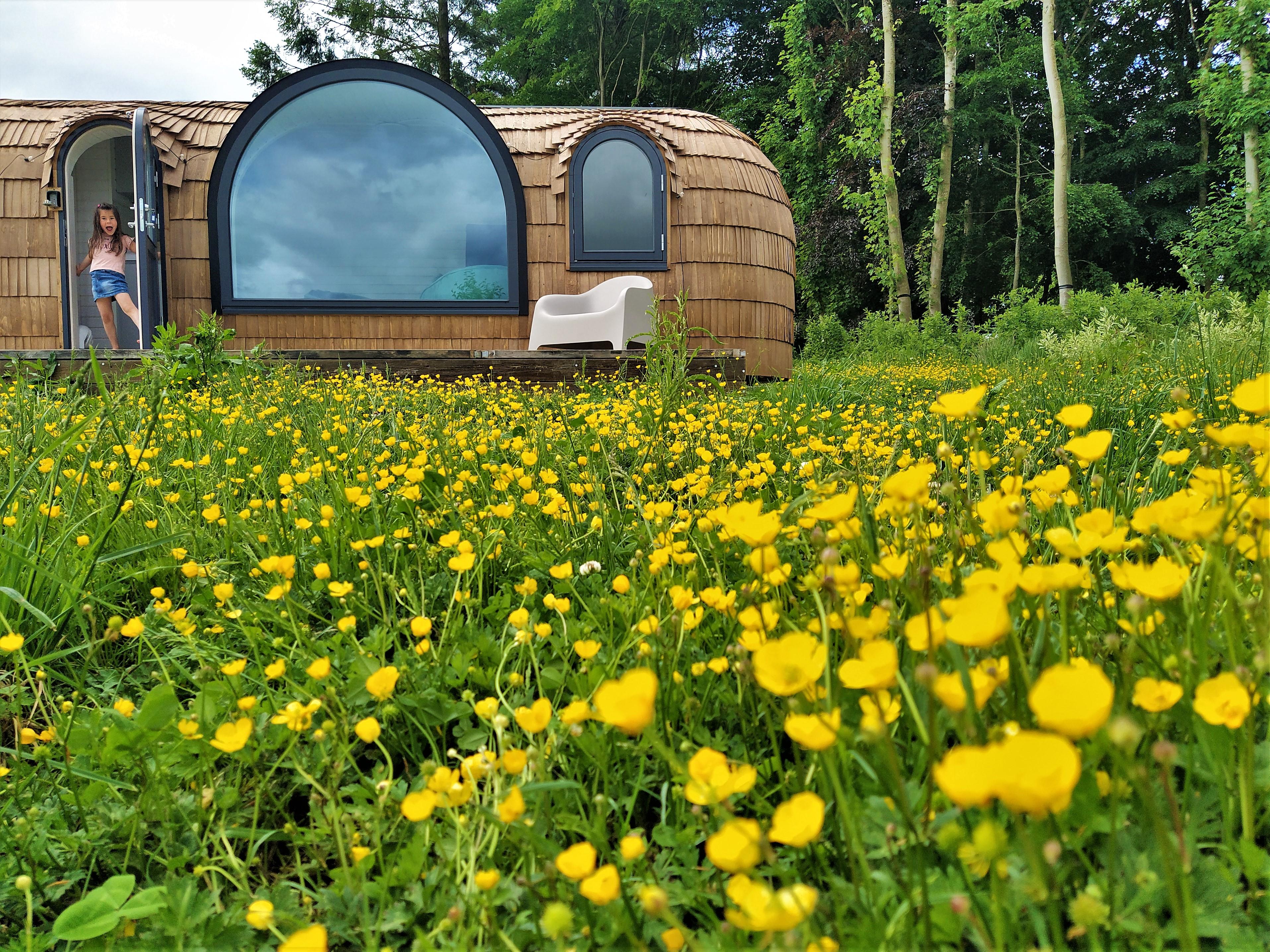 Nature house in Vaux-sur-Sûre