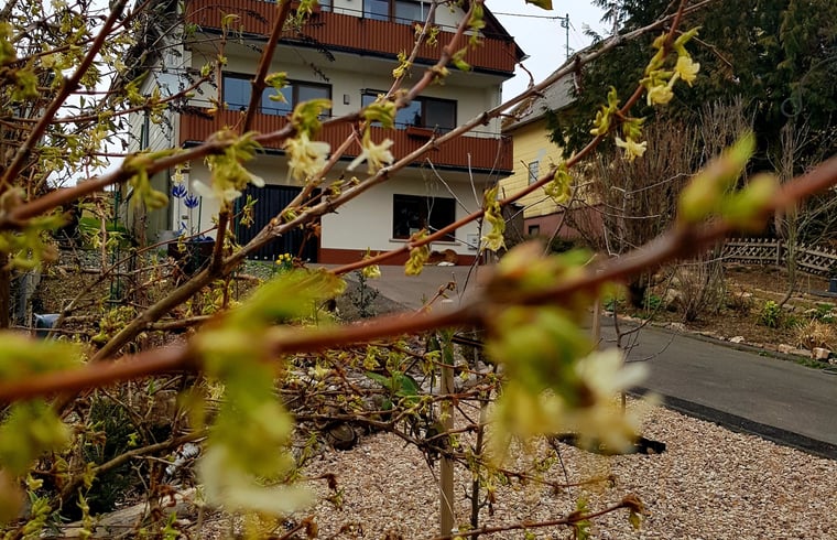 Natuurhuisje in Wirschweiler