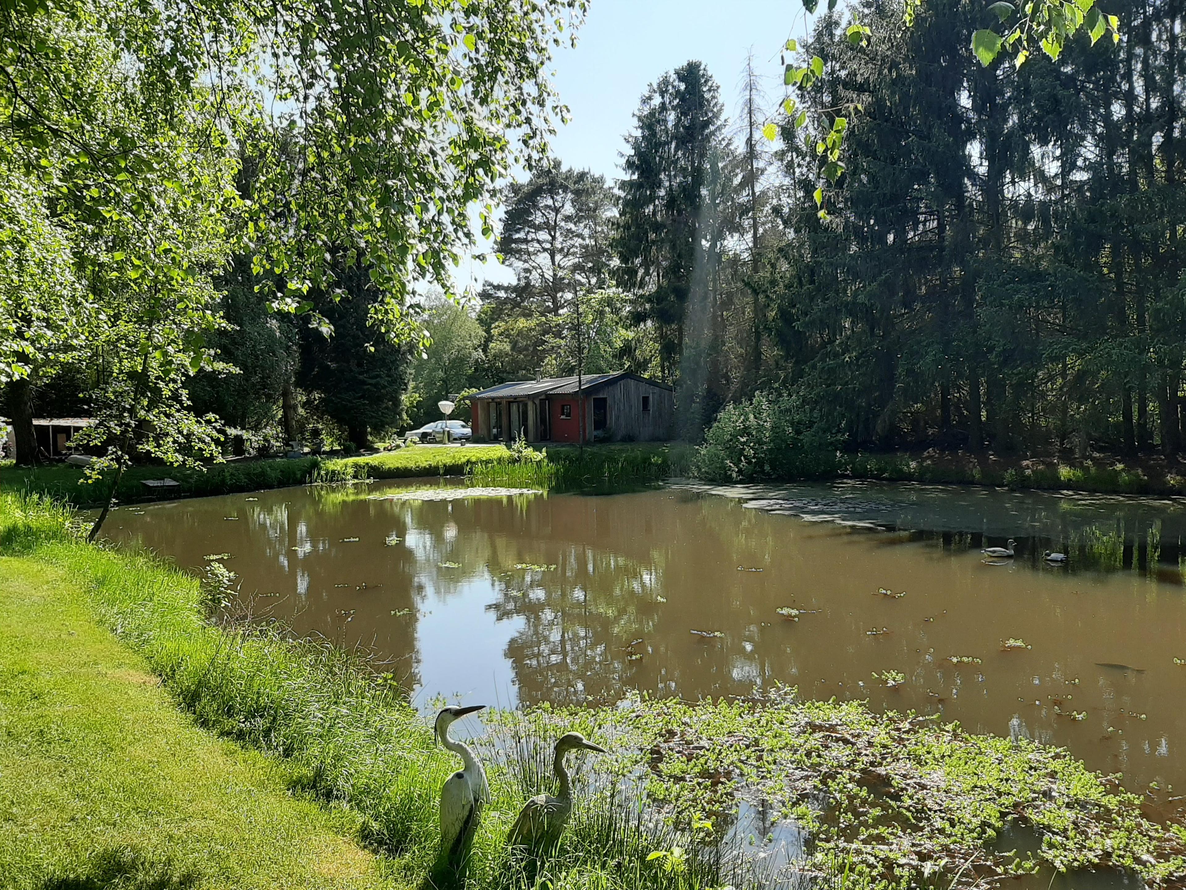Nature house in Geel