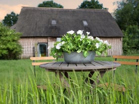 Naturhäuschen in Nieuw-Schoonebeek