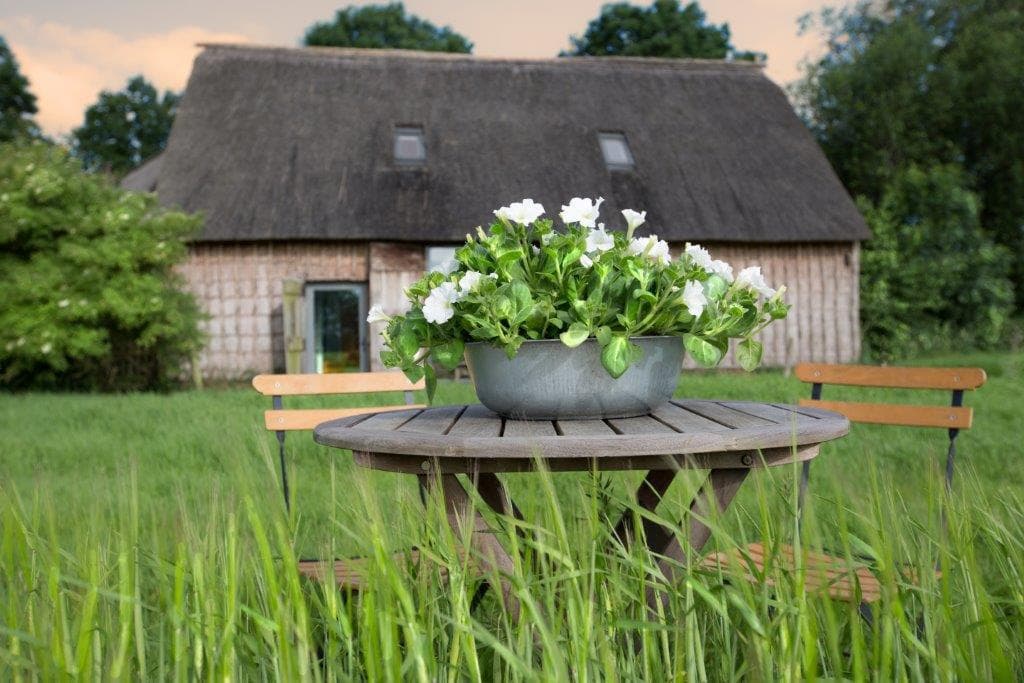 Nature house in Nieuw-Schoonebeek