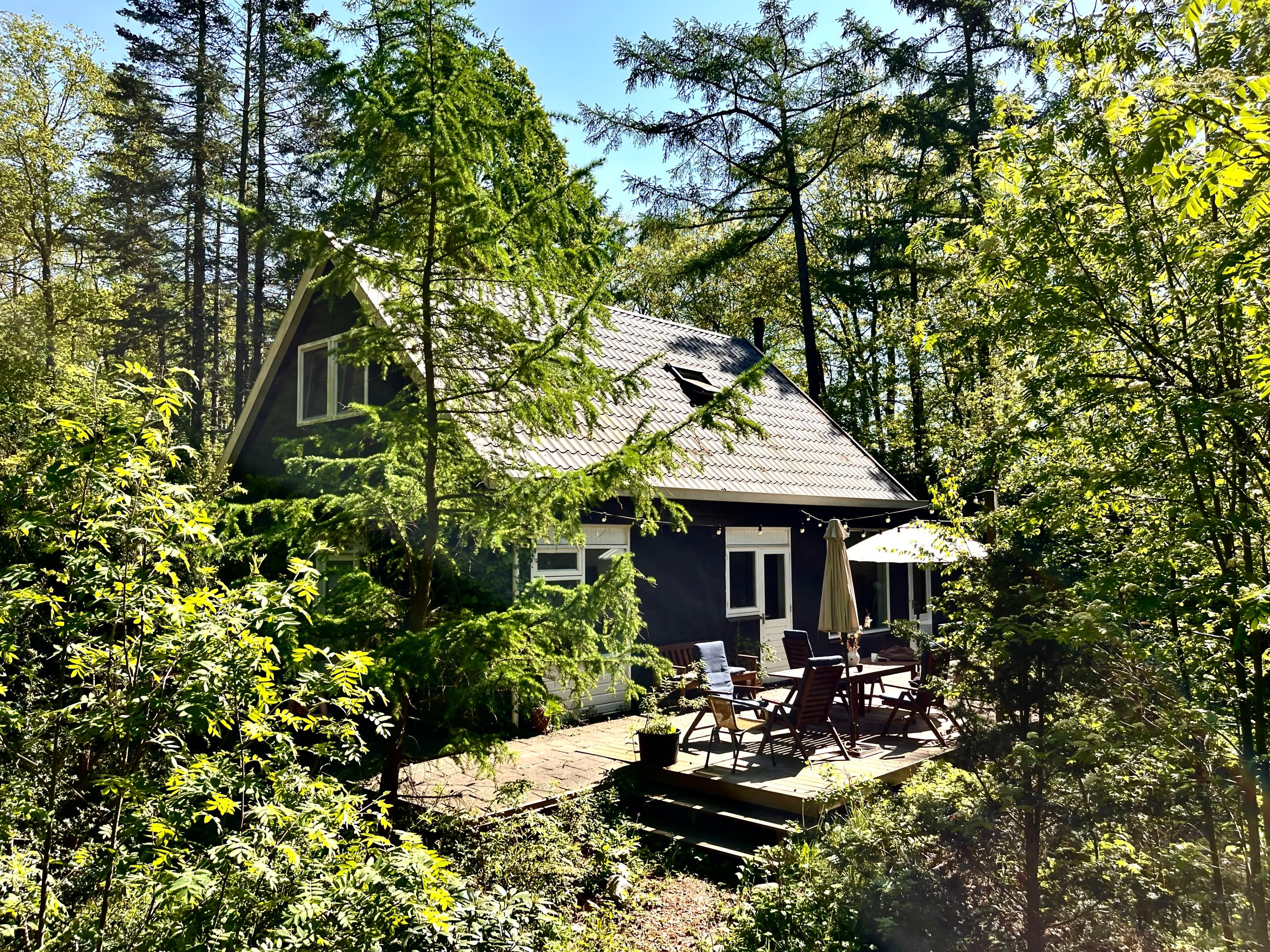 Maison nature à Doldersum