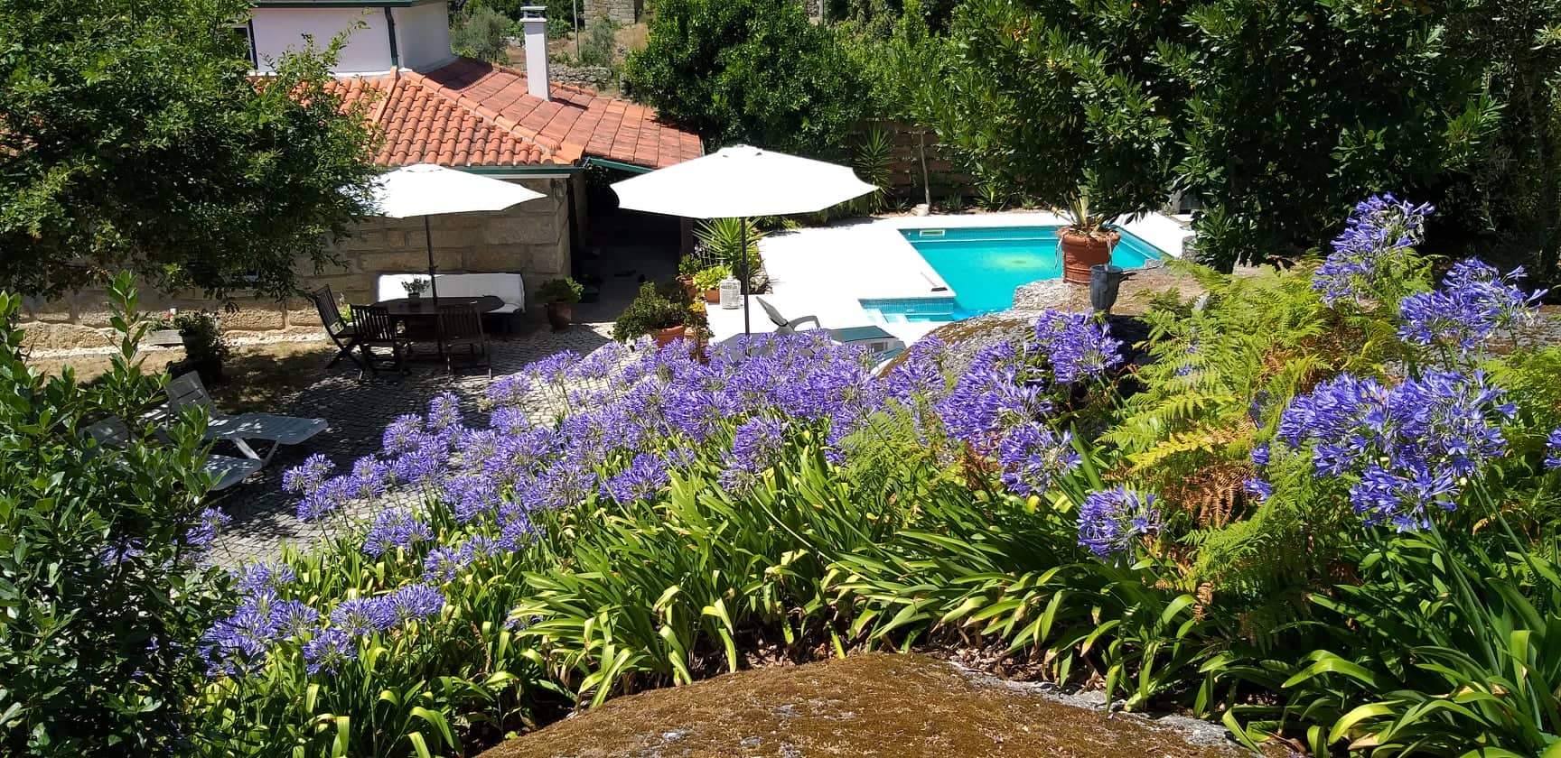 Nature house in Povoa de Midoes      (Tabua)