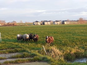 Natuurhuisje in Woerdense Verlaat