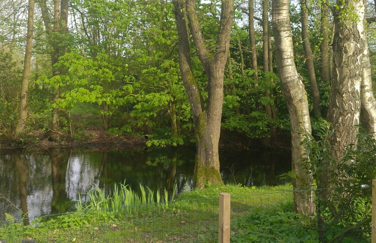 Cabin in KOLLUMERZWAAG — foto 2