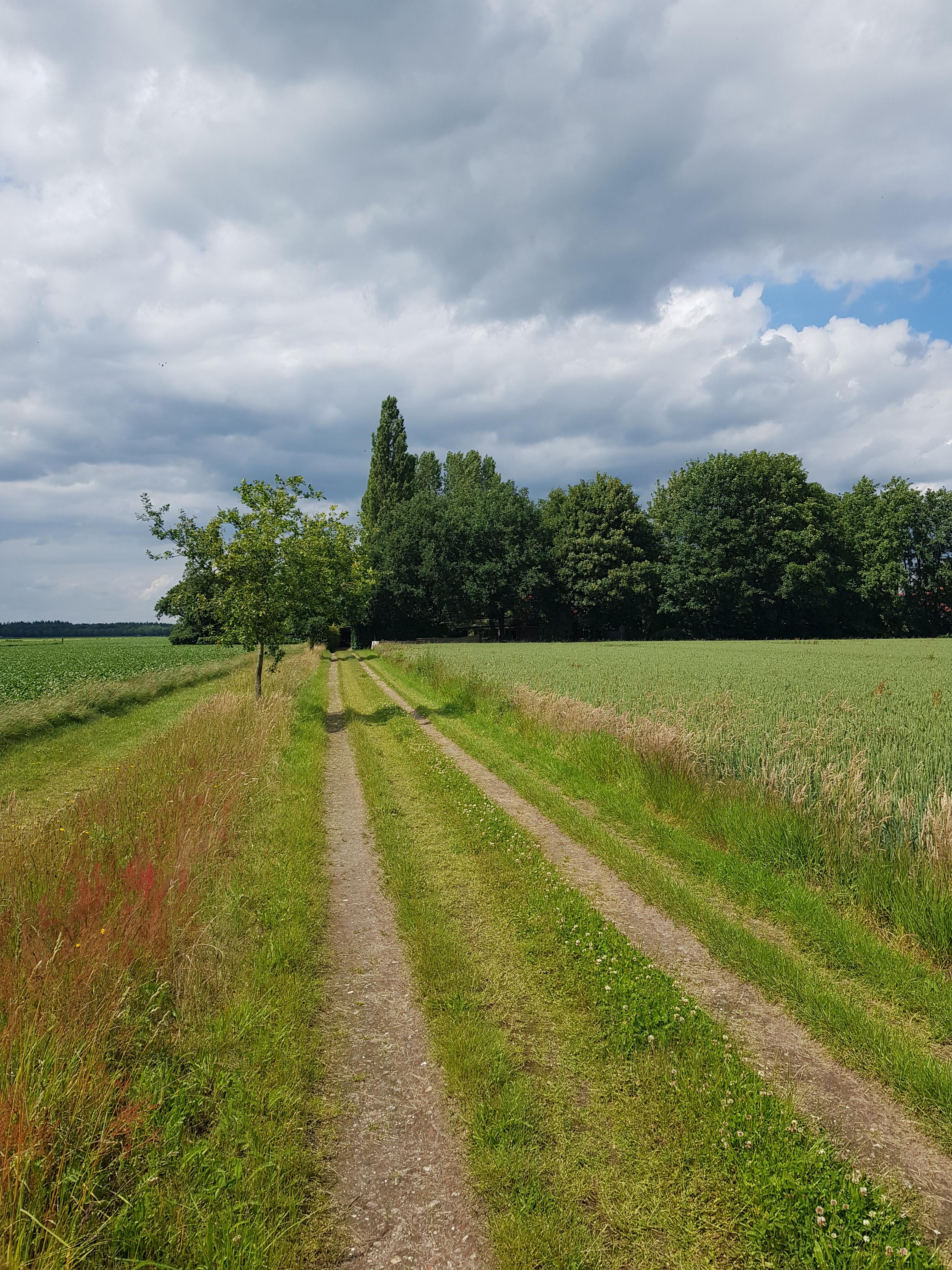 Maison nature à Sellingen