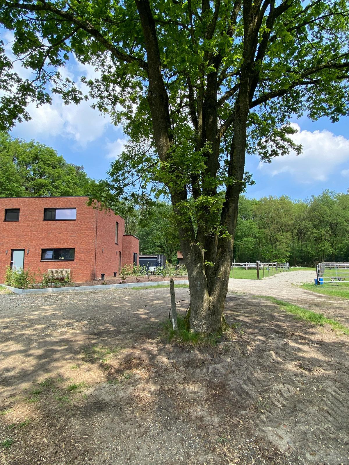 Maison nature à Zutendaal
