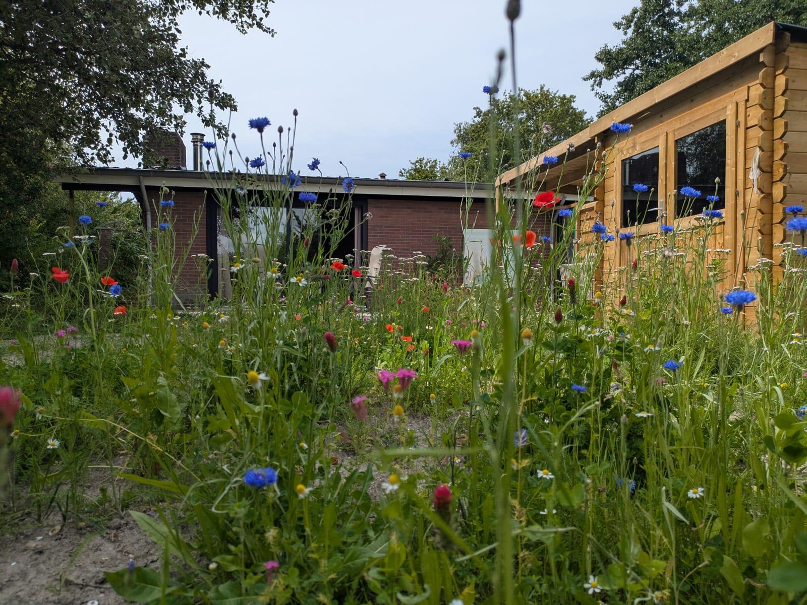 Maison nature à Lauwersoog