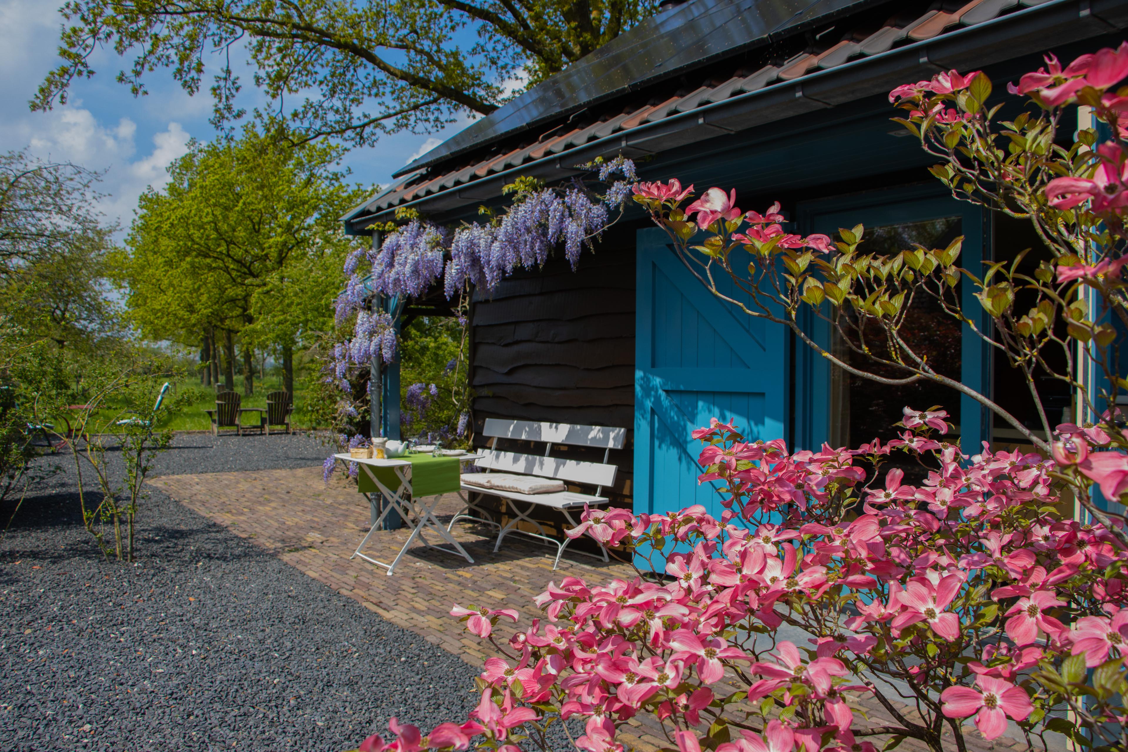 Maison nature à Brummen