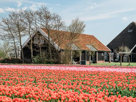 Maison nature dans Burgerbrug